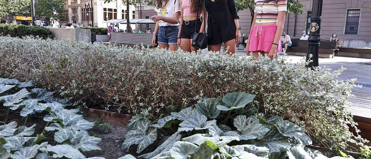 Por la izquierda, Bárbara Peralta, Silvia Camacho, María de Gracia Ramos y Estrella Peralta, ayer, frente a las calabazas de la plaza del Instituto.