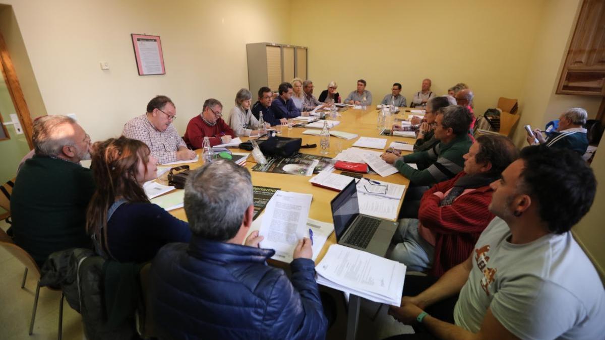 El movimiento ciudadano exige partidas en el presupuesto para el plan previsto para Ciudad Jardín