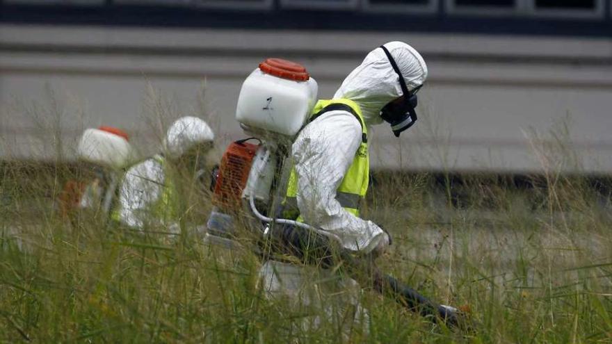 Varios operarios fumigan en Buenos Aires contra el mosquito que transmite el virus del zika.