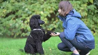 Alan Peiró, adiestrador canino: “No todos los perros aprenden repitiendo mil veces lo mismo”