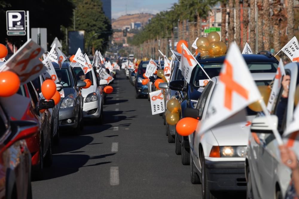 El centro de Murcia vuelve a llenarse de vehículos para protestar contra la Ley Celaá