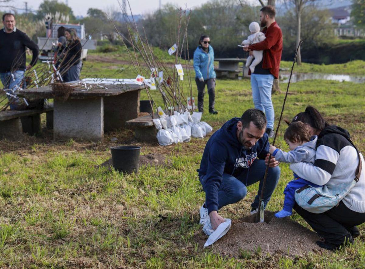 La plantación fue de árboles de diferentes especies. | IÑAKI ABELLA
