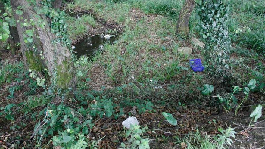 La basura reaparece en el arroyo del Fondín