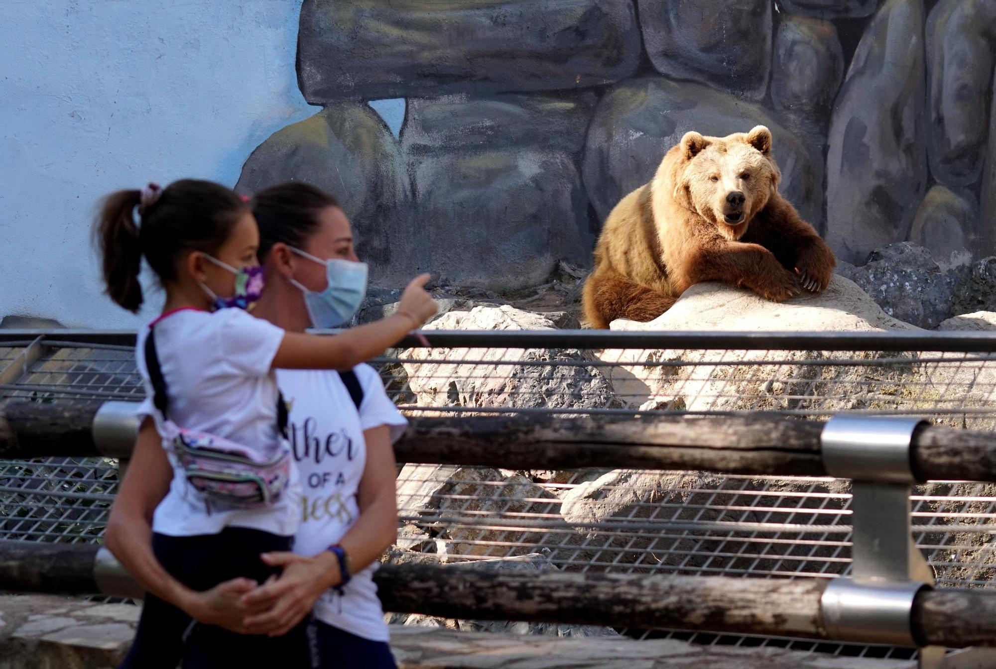 Día festivo en el Zoológico de Córdoba