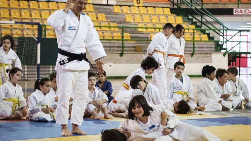 Los campeones del judo de la provincia se deciden este fin de semana