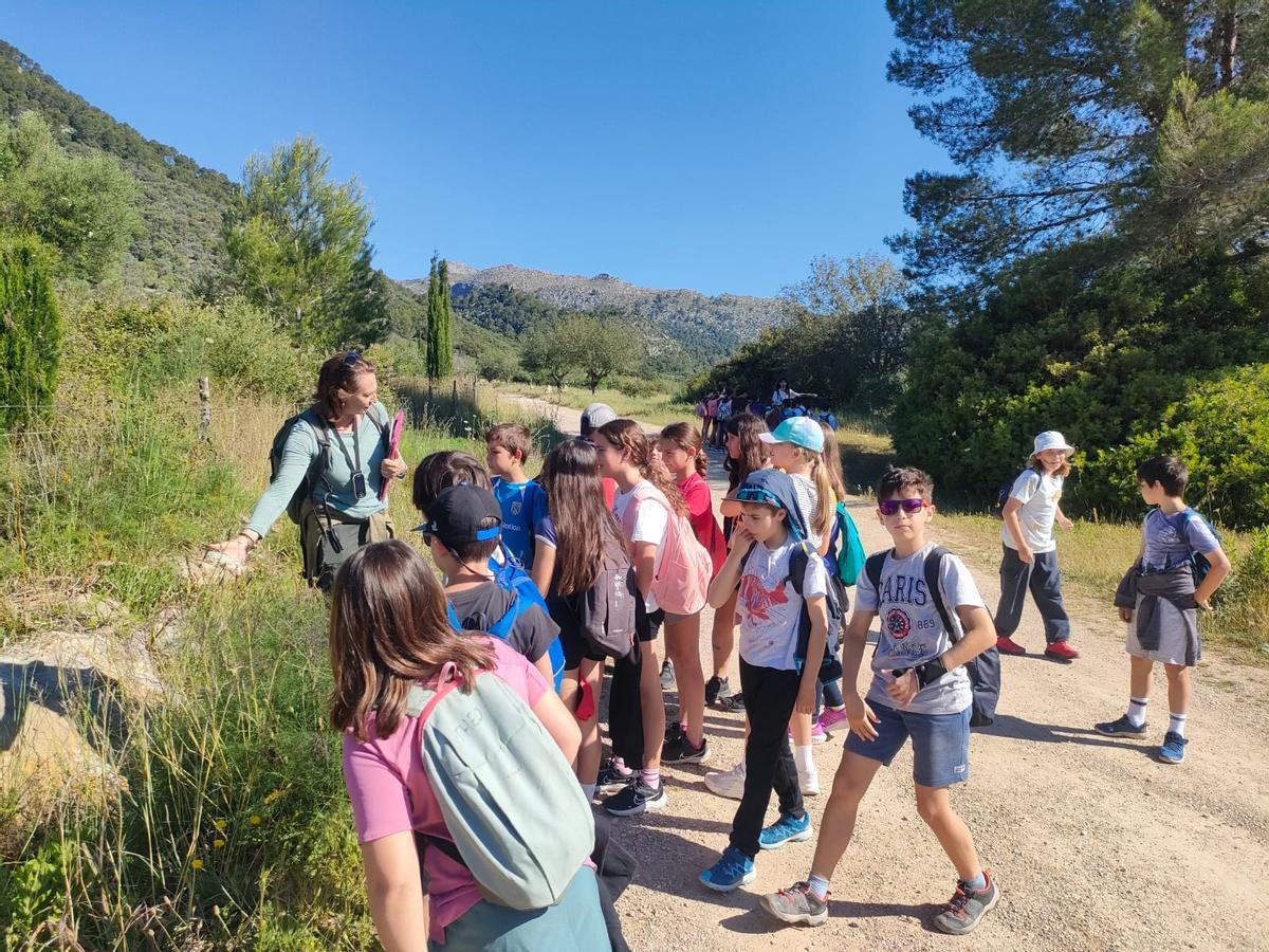 FOTOS | Los escolares se adentran en Ses Fonts Ufanes de la mano de Gadma y Cemex