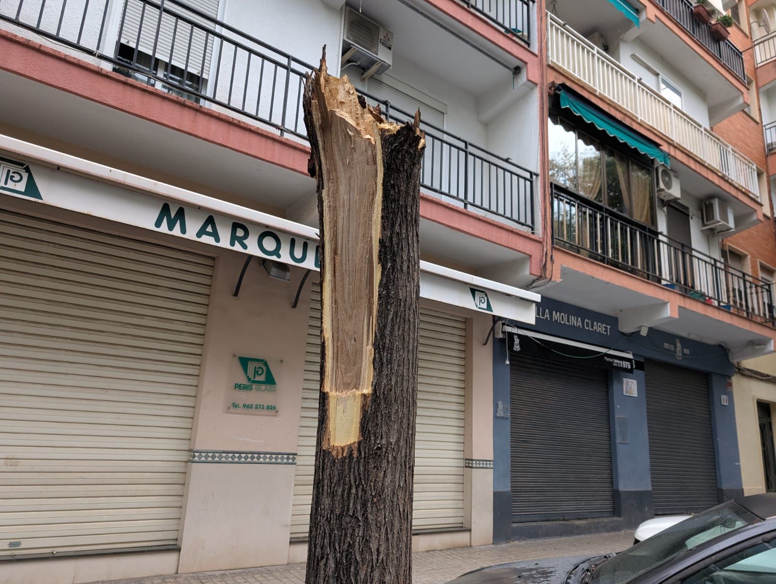 Coches abollados y árboles rotos por la granizada en Xátiva