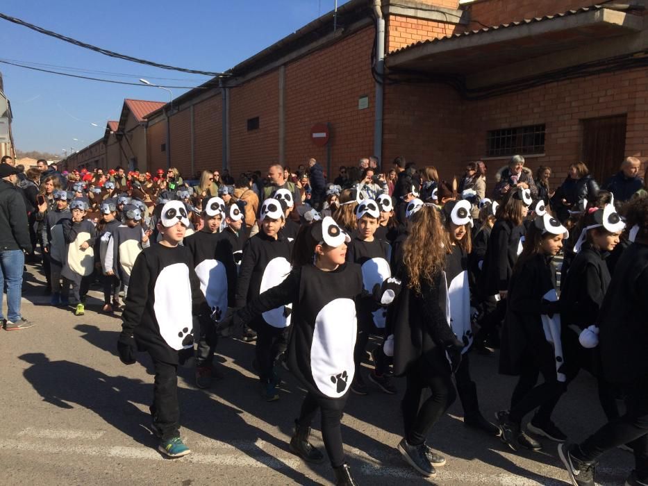 Els animals en perill d'extinció, protagonistes a la rua del Paidos