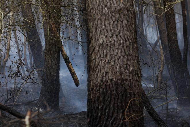 EN IMÁGENES: Gran oleada de incendios en Asturias