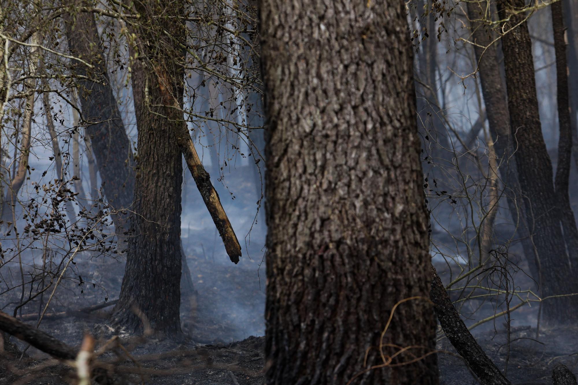 Trabajos de extinción de incendios en Valdés