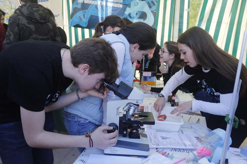 Un paseo por la ciencia en el Vial