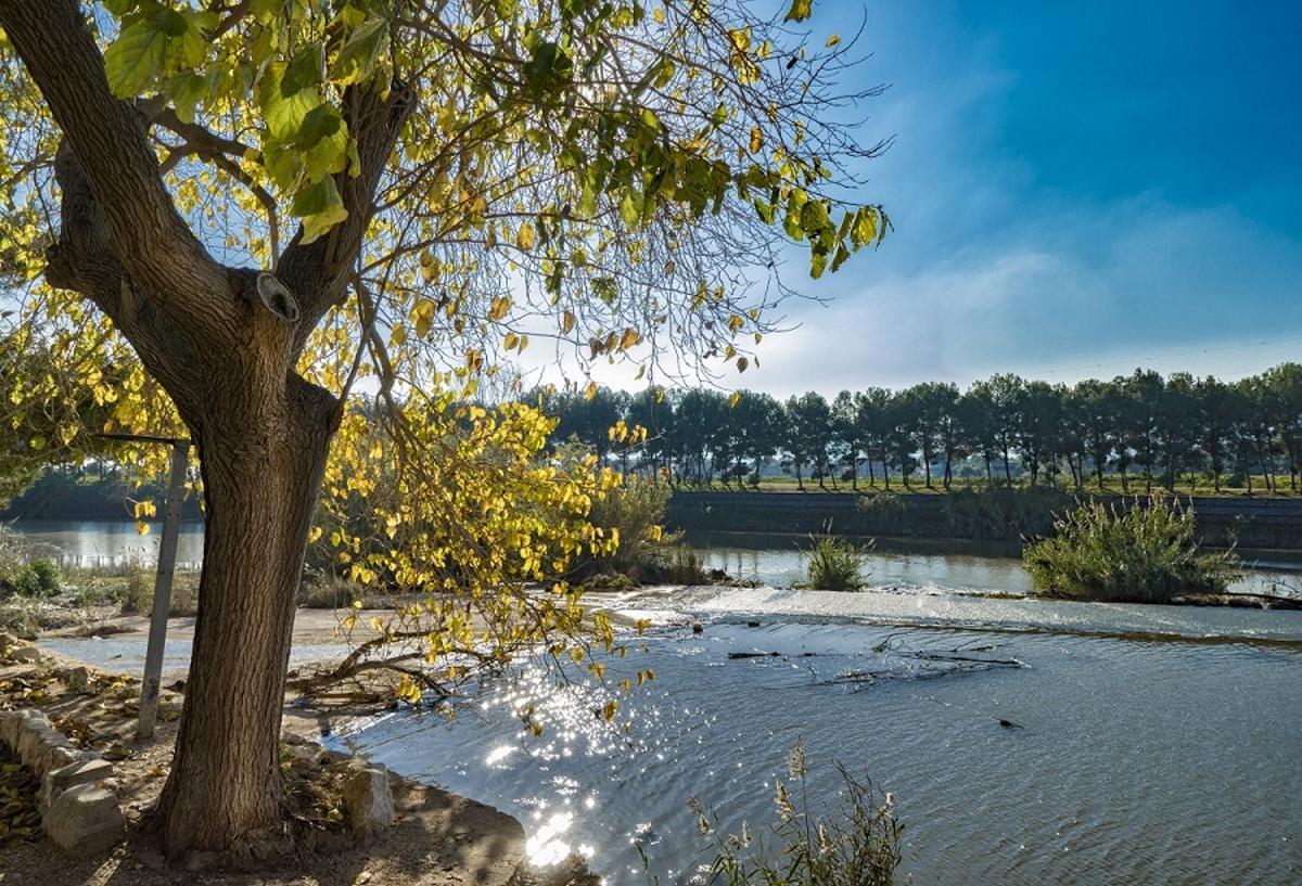 La  Ribera de Xúquer posee una gran variedad de espacios naturales.
