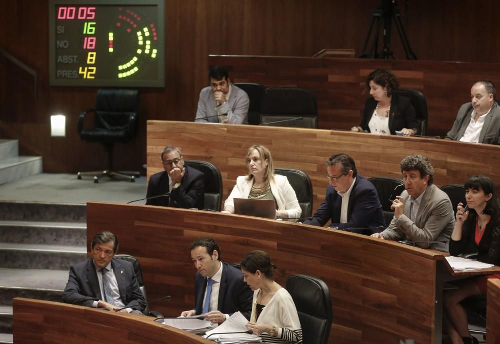 Pleno de la Junta General del Principado