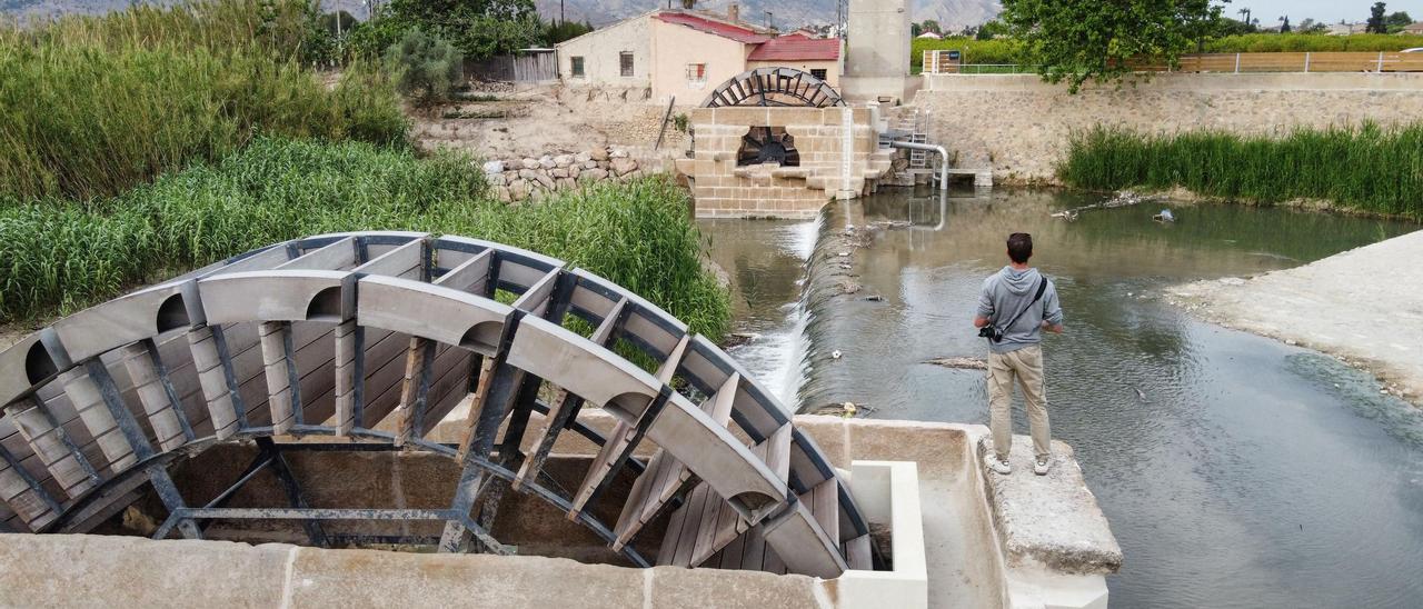 Así han quedado las norias gemelas de Orihuela tras su rehabilitación