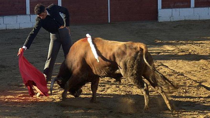 El rejoneador Fransco Lobato a lomos de su caballo «Quimo».