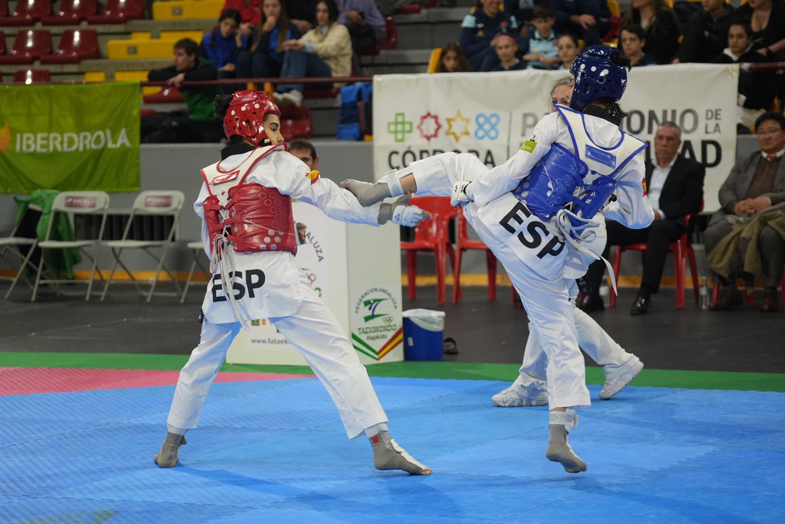 Las imágenes del Torneo Internacional de Andalucía de Taekwondo