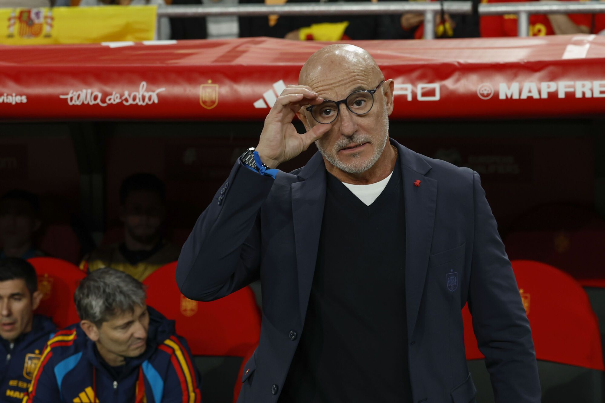 SEVILLA, 18/11/2025.- El técnico de la selección española, Luis de la Fuente, durante el encuentro correspondiente a la fase de clasificación para el Mundial 2026 que disputan hoy martes España y Turquía en el estadio de La Cartuja, en Sevilla. EFE / Julio Muñoz.