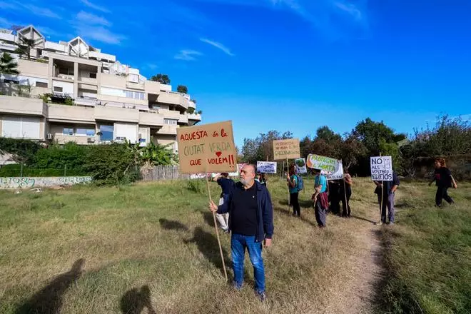 Los dueños de los huertos urbanos ilegales en Benimaclet tras la orden de desalojo: "Paremos el PAI"
