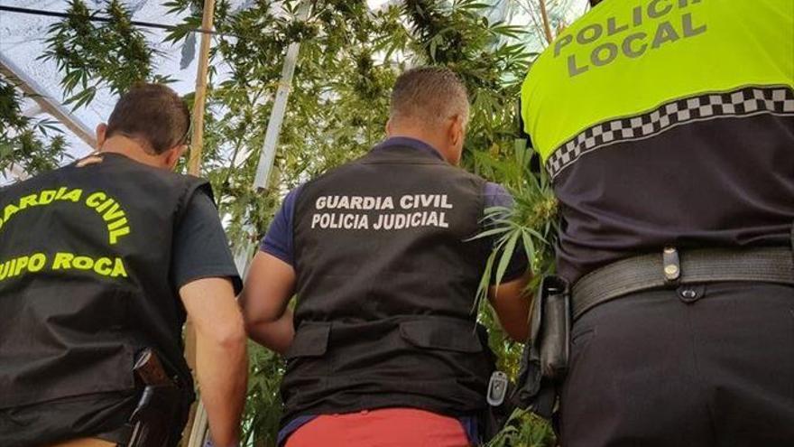 Detenidos los dueños de dos invernaderos de marihuana en Llerena