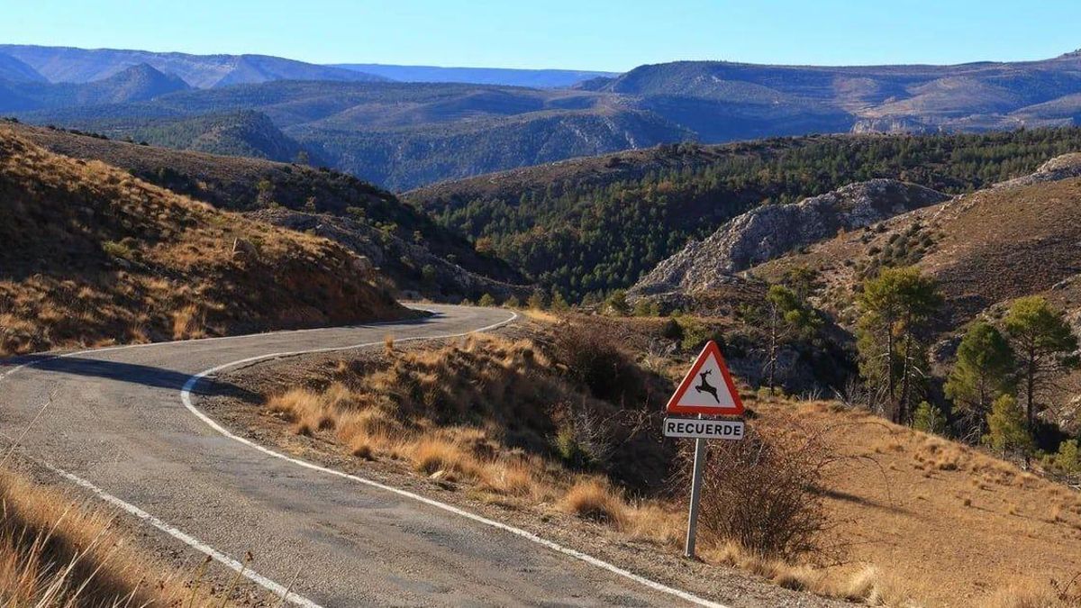La Ruta del Silencio no es un recorrido para hacer con prisa, pues las curvas invitan a detenerse en cada mirador.