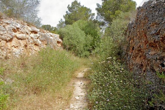 Bahnwanderweg Mallorca