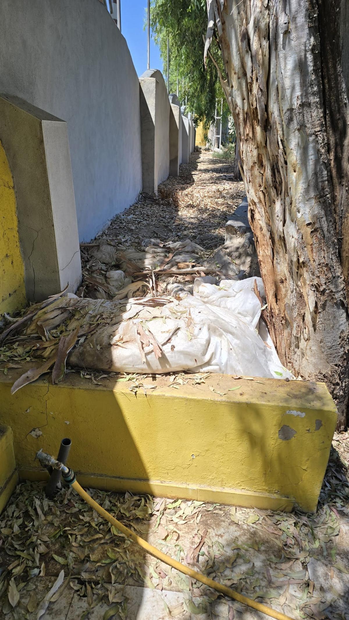 Así están las instalaciones y gradas del campo municipal de Los Arcos en Orihuela