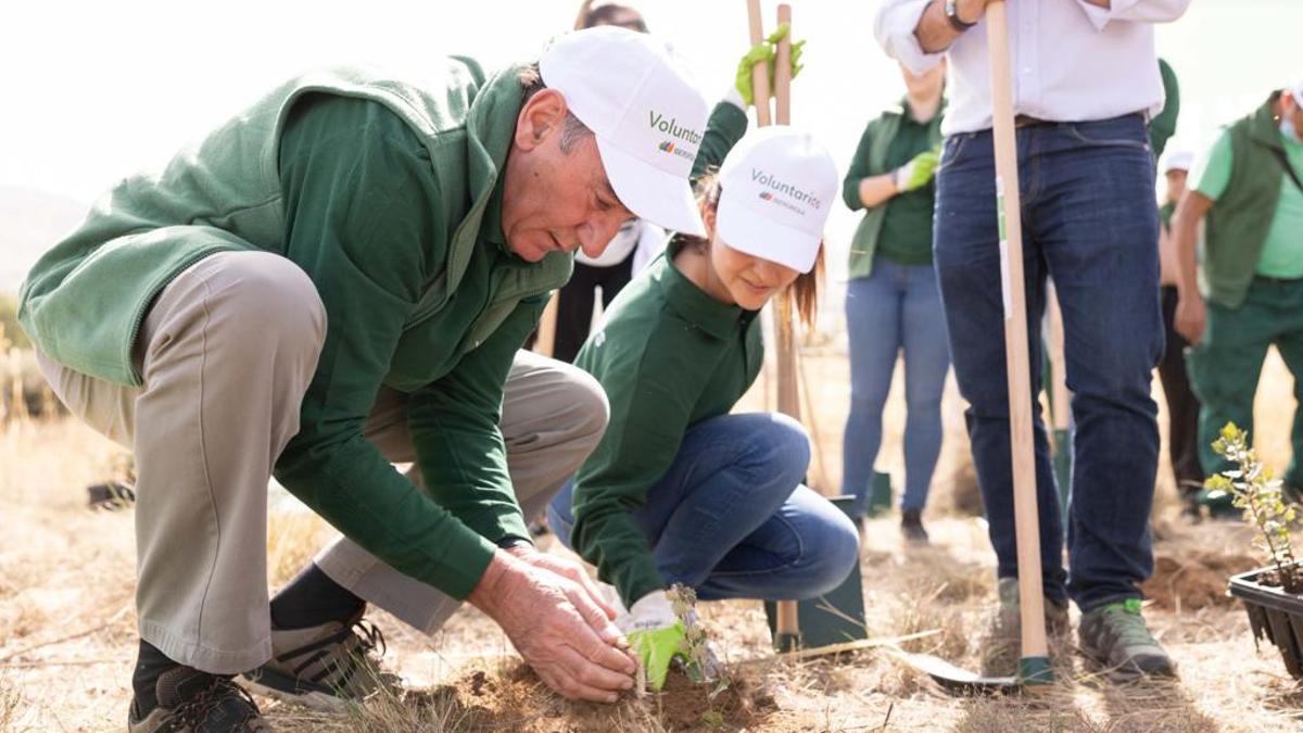 Una actividad solidaria de Iberdrola.