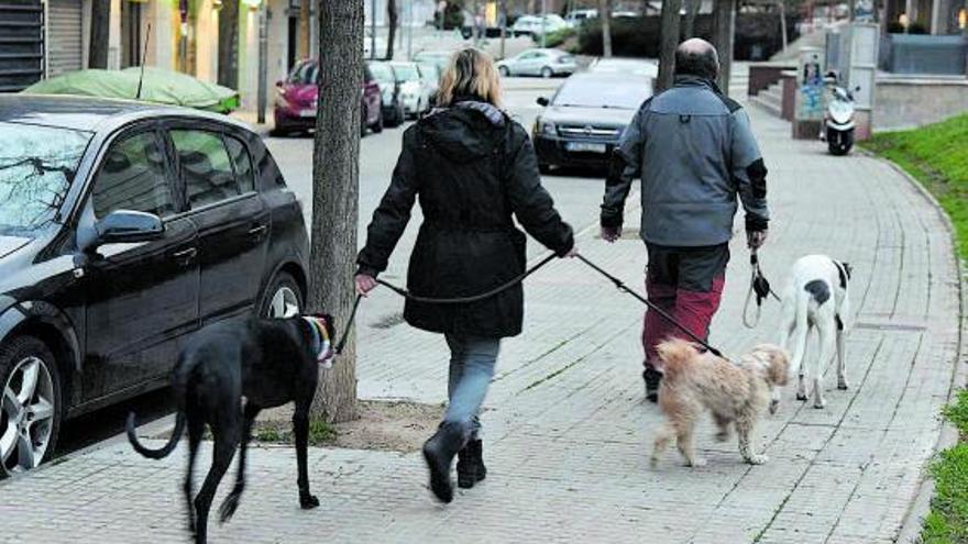 Una parella passejant els seus gossos pels carrers de Manresa | ARXIU/MIREIA ARSO