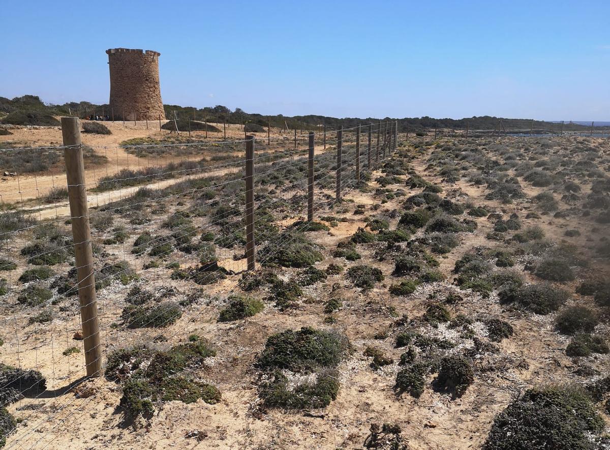 En la imagen se observa la valla que cierra el perímetro de la finca.