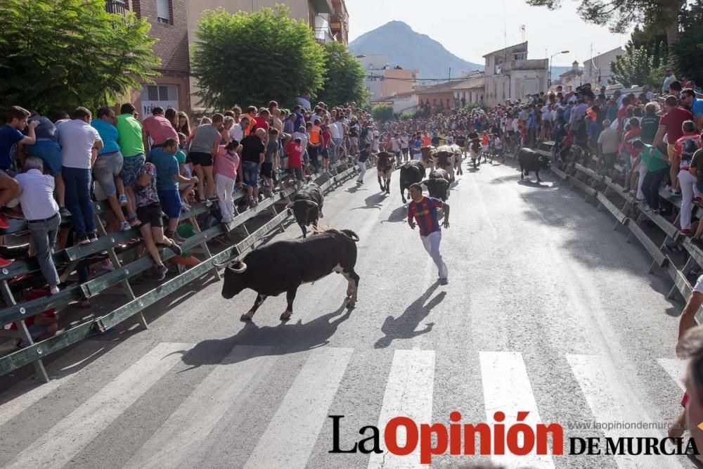 Segundo encierro de Calasparra