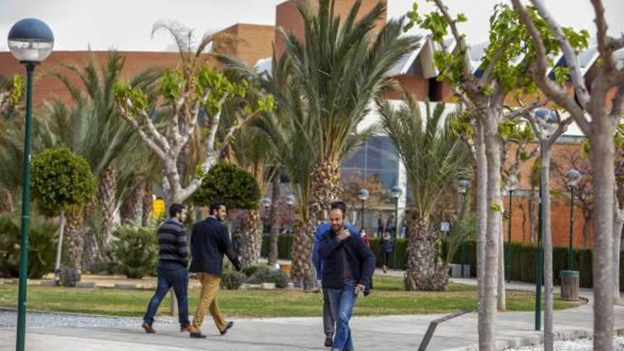 El campus de Elche de la Universidad Miguel Hernández, en una imagen de archivo.