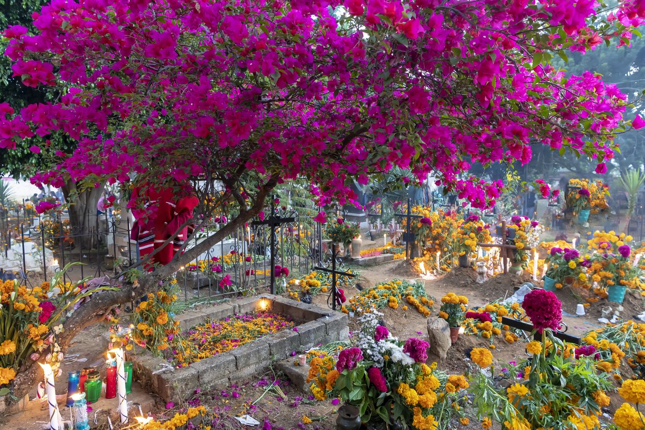 Celebra el Día de Muertos en el enclave con más magia de México.
