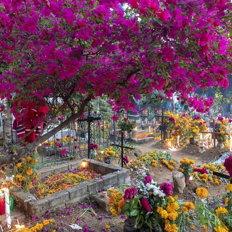 Se acerca el Día de Muertos: el mejor lugar de México para empaparse de este ritual histórico