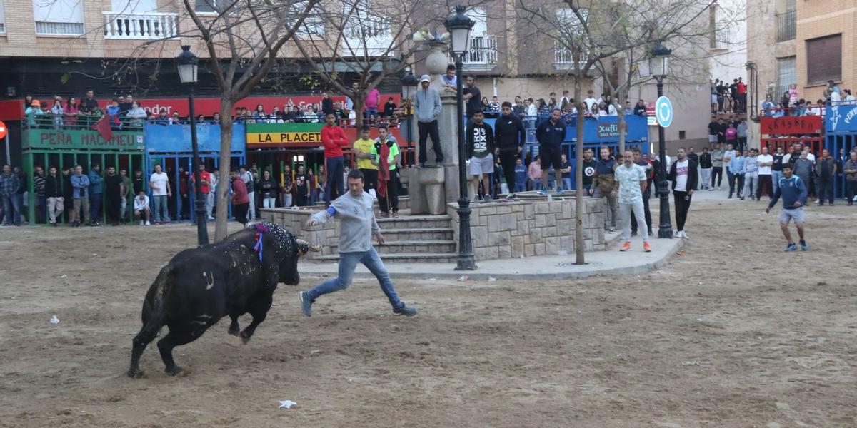 La Pascua Taurina de l'Alcora reúne a decenas de aficionados.