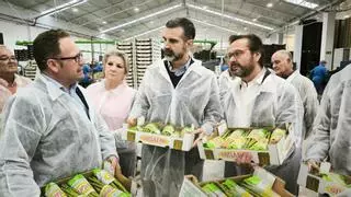 La Junta destinará 88 millones de euros a nuevas ayudas para la modernización del sector agroalimentario