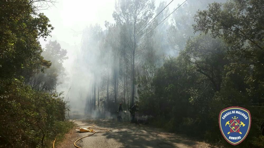 Waldbrand bei Puigpunyent