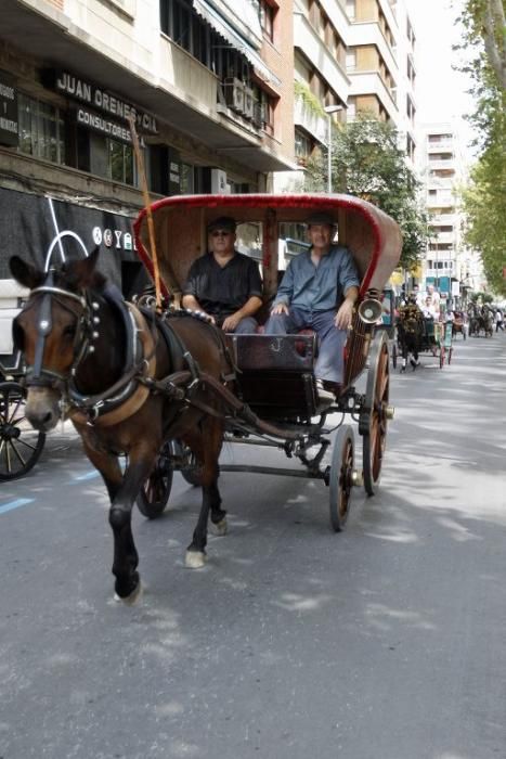 Día del Caballo en Alfonso X