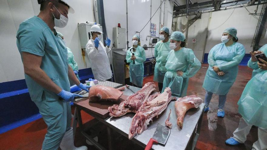 El bocadillo de pata de Telde tiene mucho cuento detrás: así descubren los hosteleros del municipio el viaje del cochino canario hasta la mesa