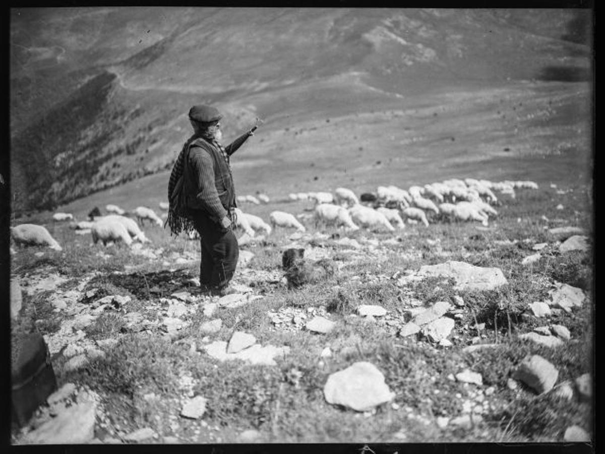Joan Andreu Puig Farran, Pastor y perro pastor en los Pirineos, enero de 1936. Archivo Fotográfico de Barcelona / Archivo Família Puig Farran © Arxiu Família Puig Farran. Plata en gelatina a partir de negativo de vidrio.
