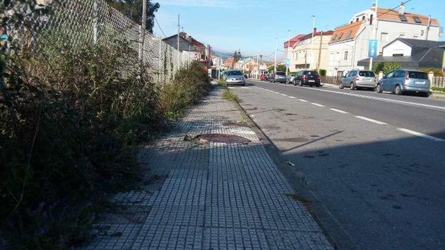 Maleza en las aceras en un vial de Bueu. // S.Á.