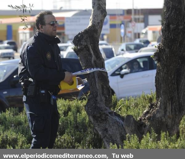 Galería de fotos: Cae la estatua de Ripolles