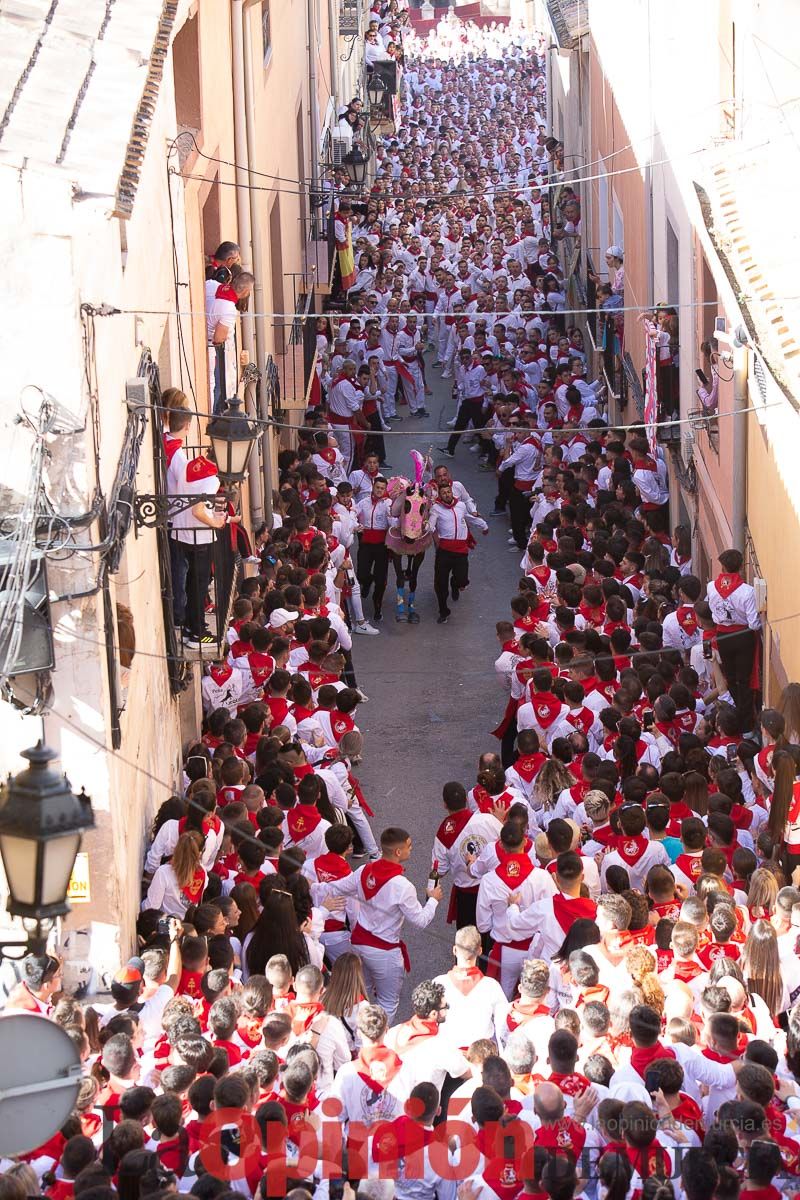 Caballos del Vino en la cuesta de la Simona