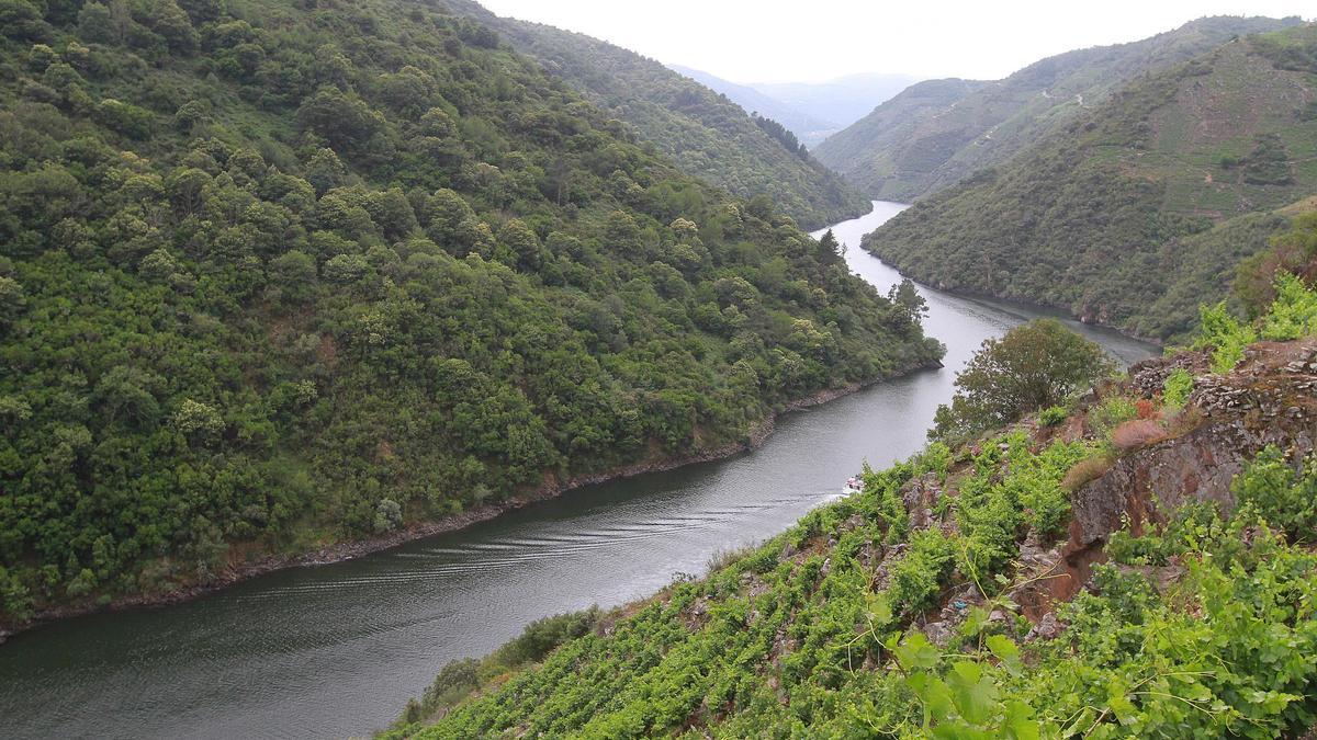 Ribeira Sacra de Lugo.