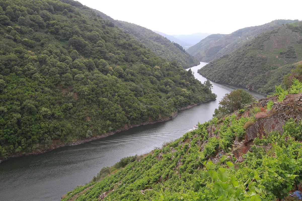 Ribeira Sacra de Lugo.