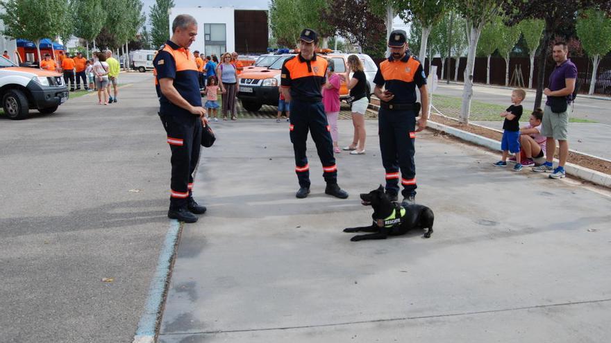 La perrita Mica mostrando sus habilidades ante su instructor, Manolo Sánchez