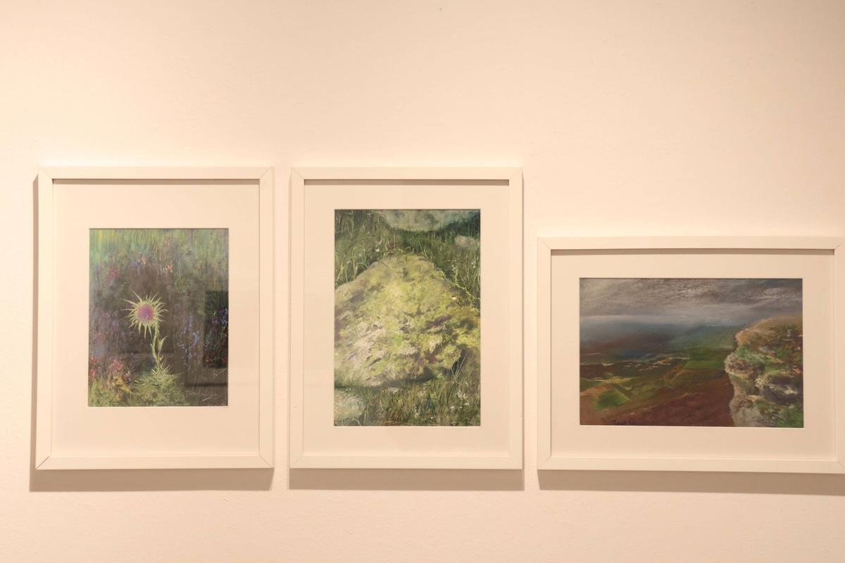Exposición de Josefa Lozano