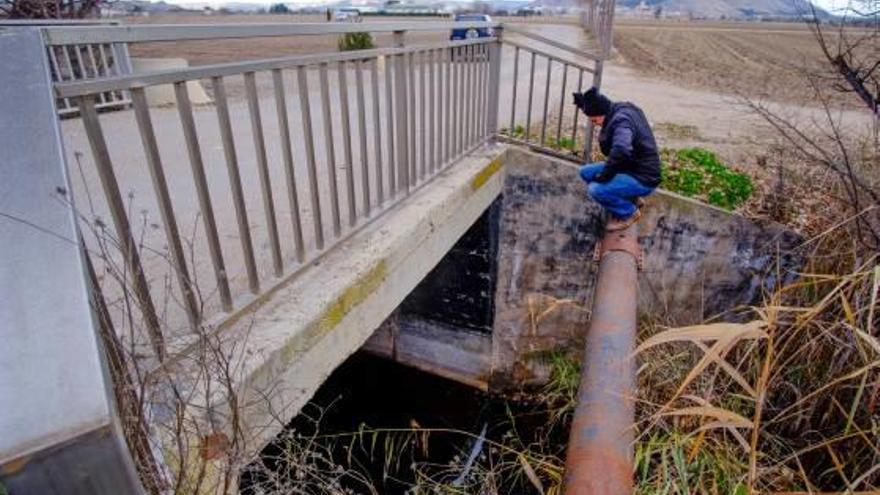 En la Acequia del Rey de Villena crece el carrizo y la suciedad.