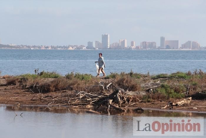 SOS Mar Menor retira dos toneladas de basura