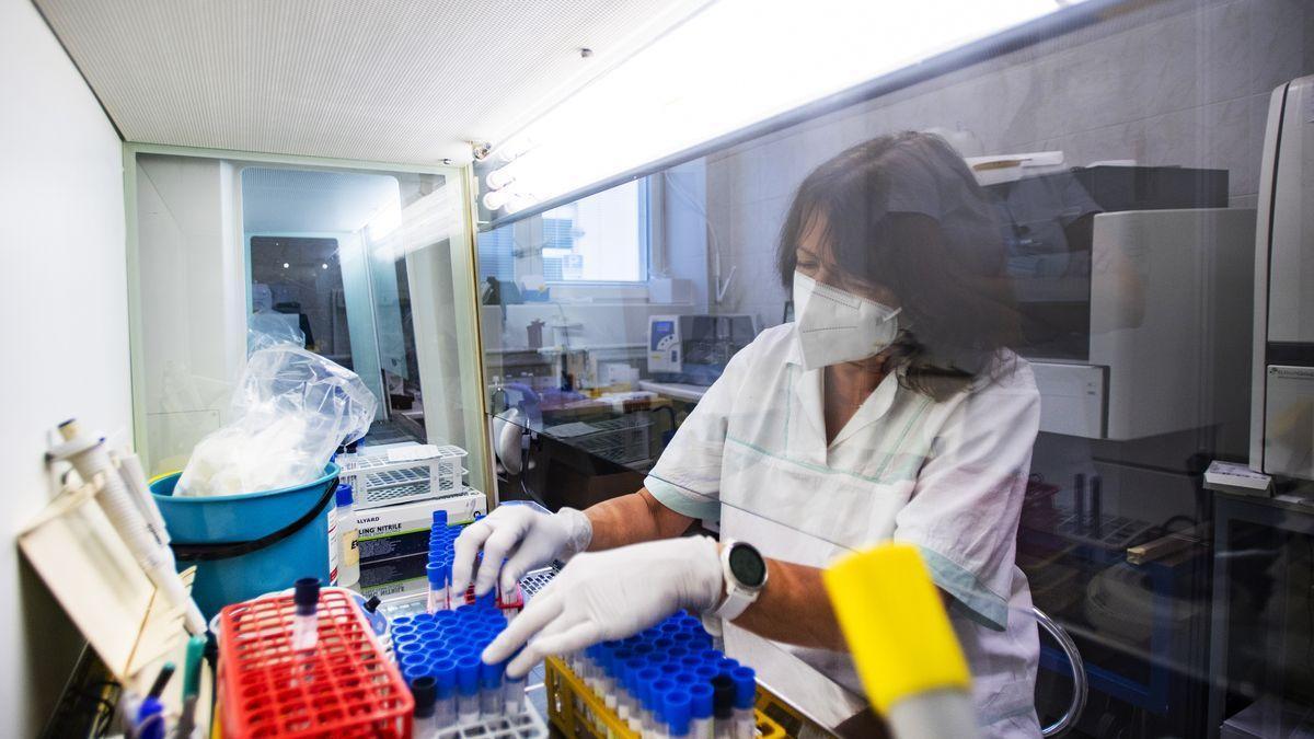 Pruebas de test del coronavirus en un laboratorio.