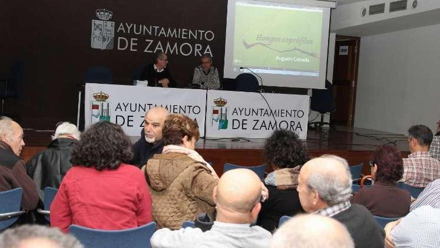 Conferencia sobre los hongos coprófilos en La Alhóndiga